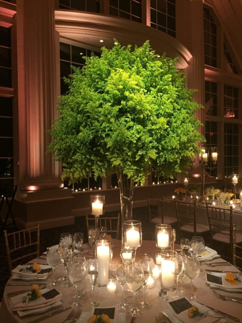 A tablescape with candles and a tree in the middle, perfect for wedding table scape ideas.